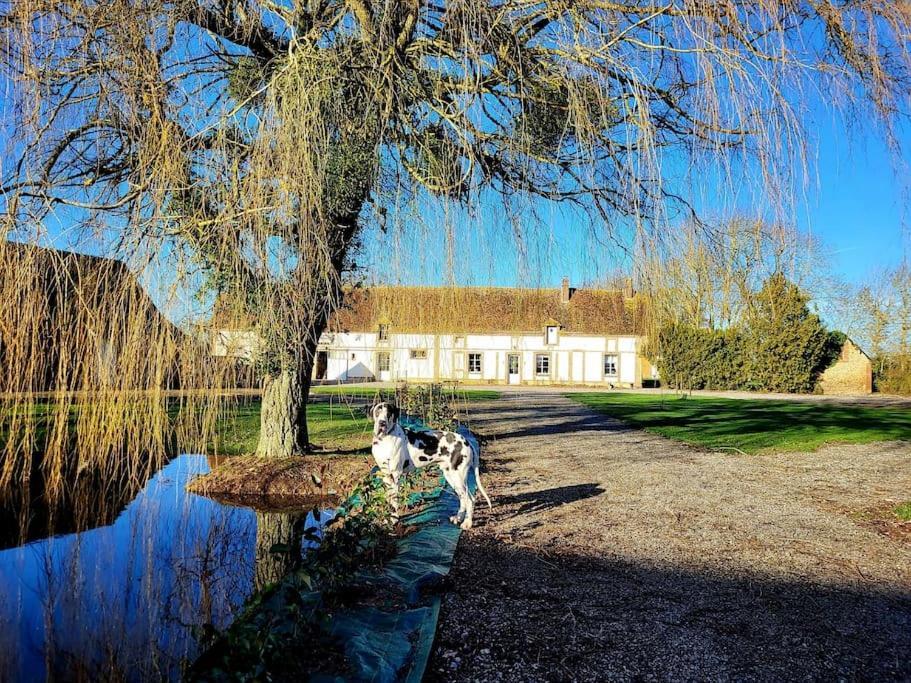 Gite Au Haras D'Agathe Et Ses Princes Les Barils Exterior foto